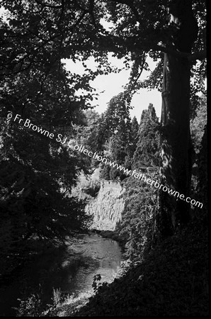 BIRR CASTLE  RIVER THROUGH TREES THROUGH ROSE GARDEN